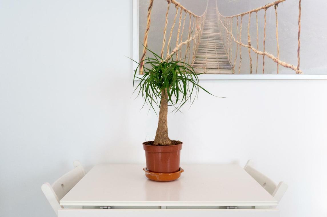 Apartment Ml1c-prime Location Marble With Patios
