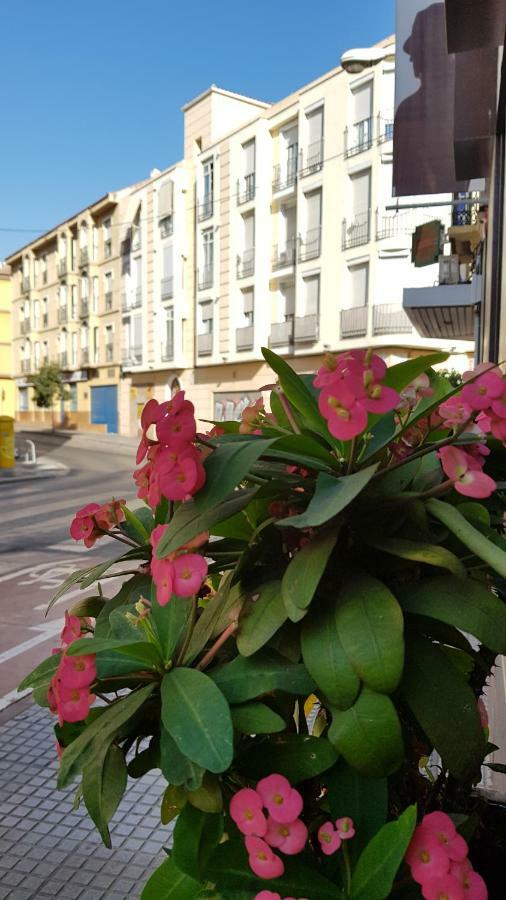 Elena Flat Center * Malaga