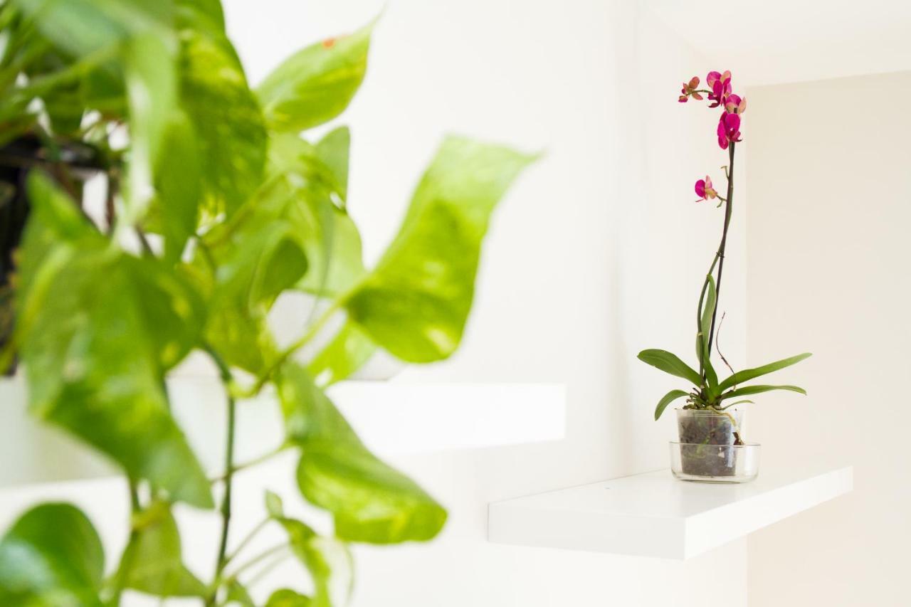 Charming In Pedregalejo Apartment *