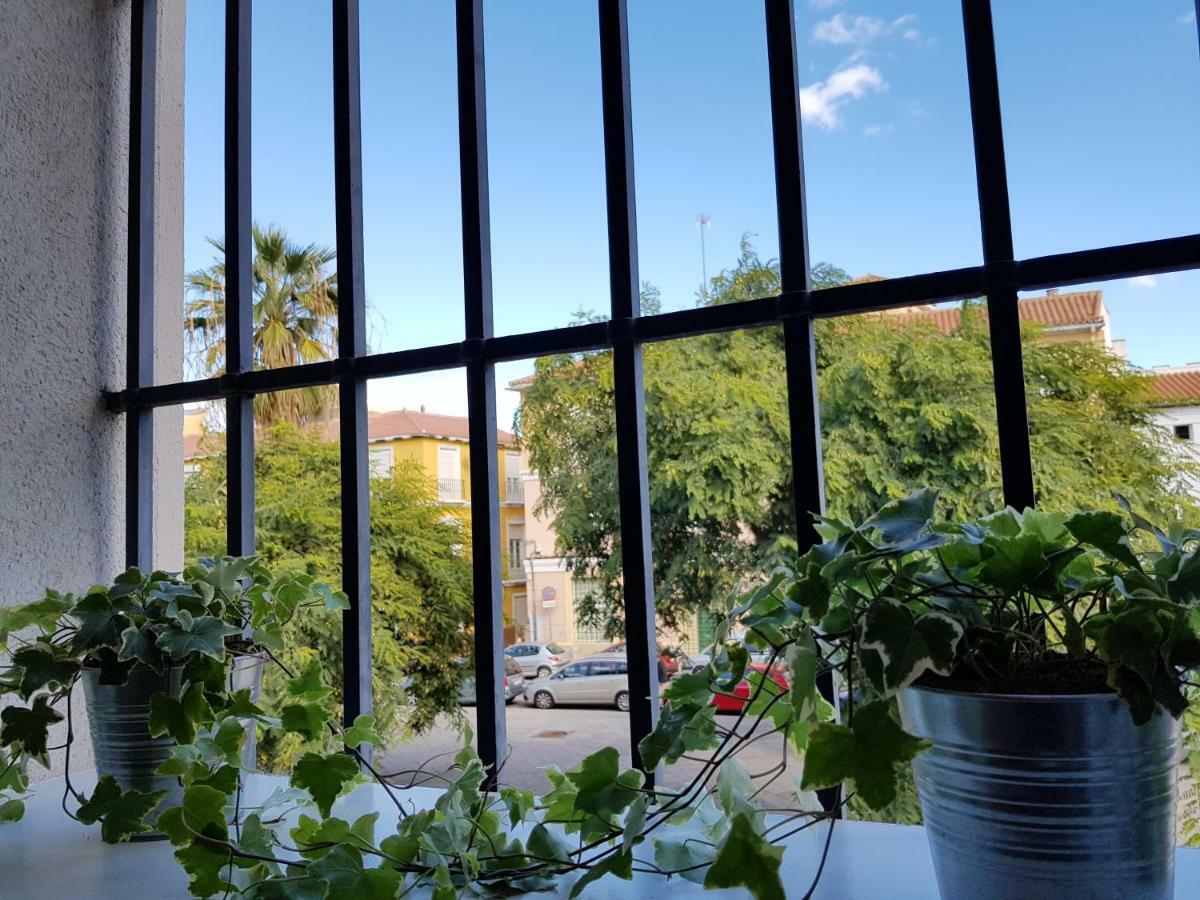**** Genuar Center Appartement