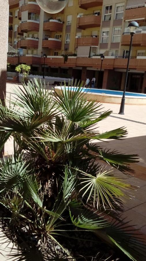 Maravilloso Apartamento En La Playa En Capital Apartment *