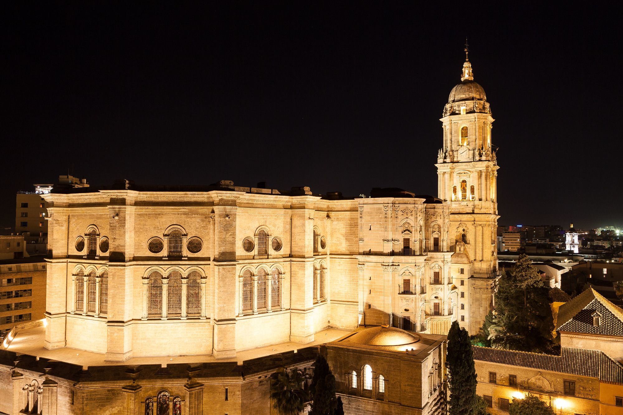 Pedro De Toledo *
