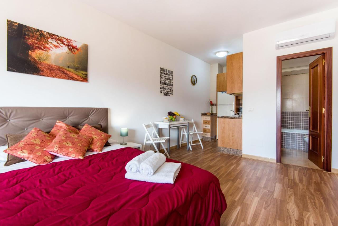 Loft Malagasol Apartment Malaga