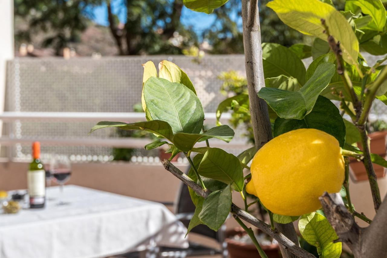 Casa Limonar Apartment Málaga