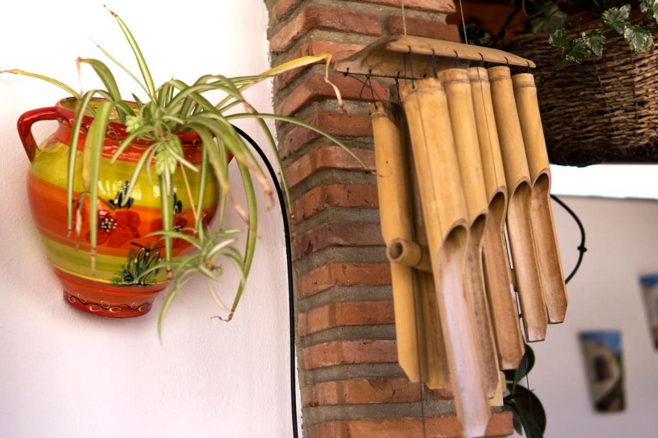 Mcgomez House Malaga