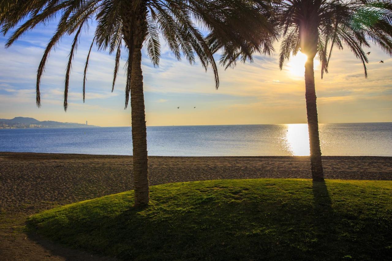 Apartment Cozy In The Heart Of With Pool Malaga