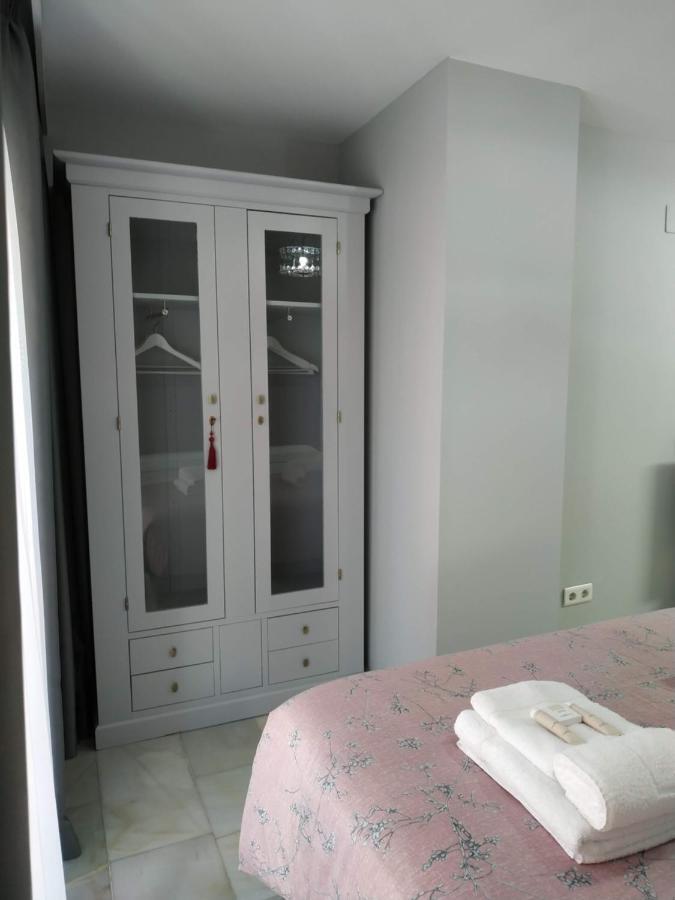 Kentia Malaga