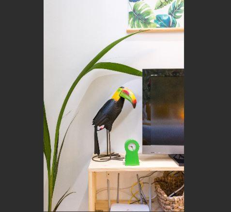 The Paradise Studio Apartment