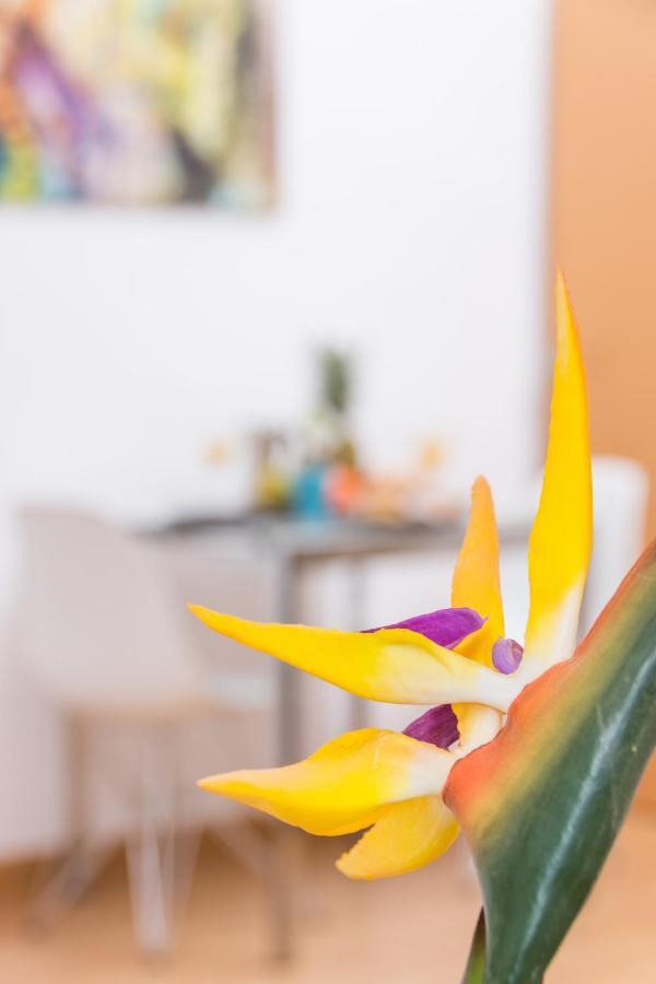 Bolsa Larios Appartement *