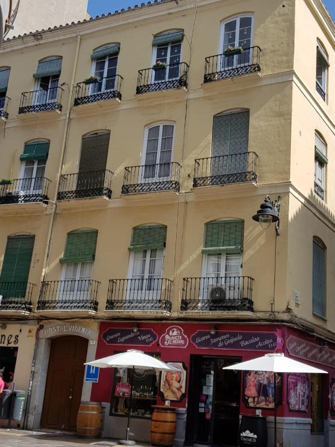 Hostel Vidamia