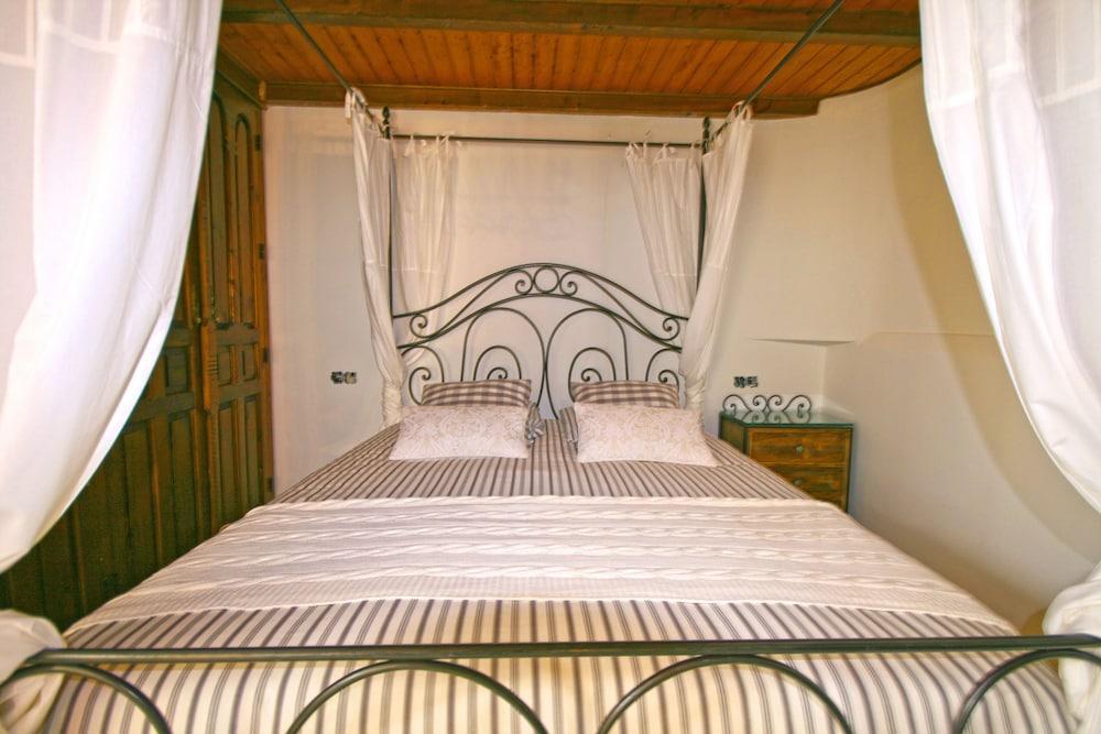 Palmeras Grupalmalaga *