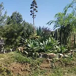 Pinar El Almendra