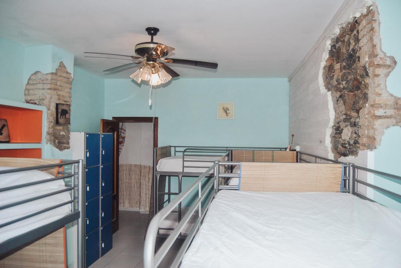 Hostel Beach And Center Backpackers
