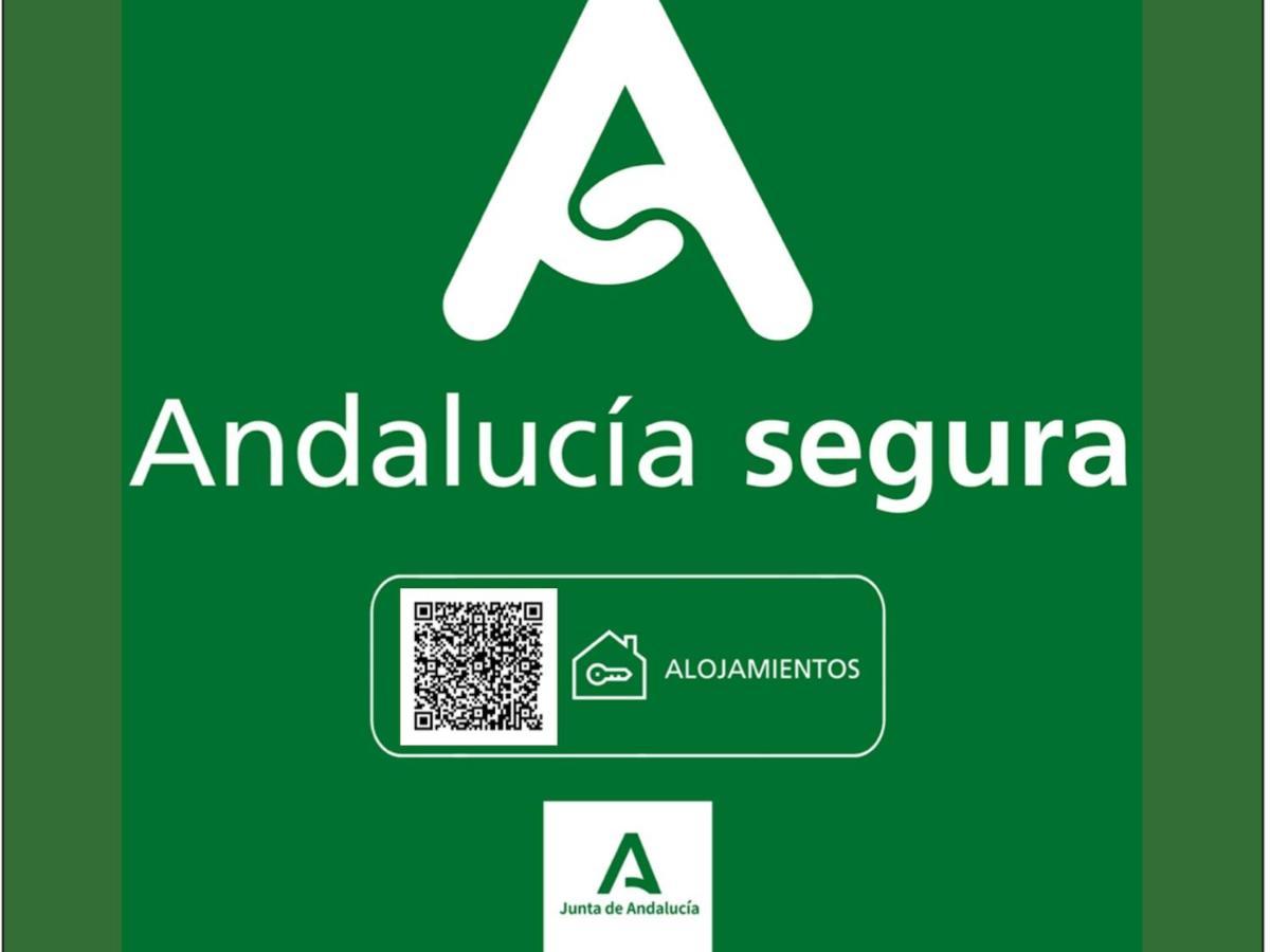 Holidays2malaga Plaza De Toros Vieja & Terrace & Optional Parking Apartment