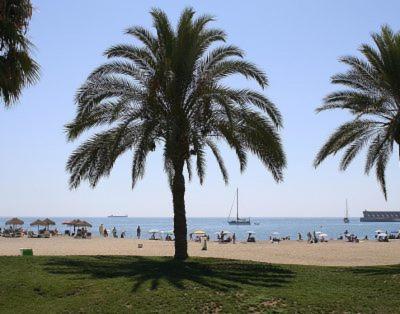 Apartment Apartament Heroes De Sostoa Malaga