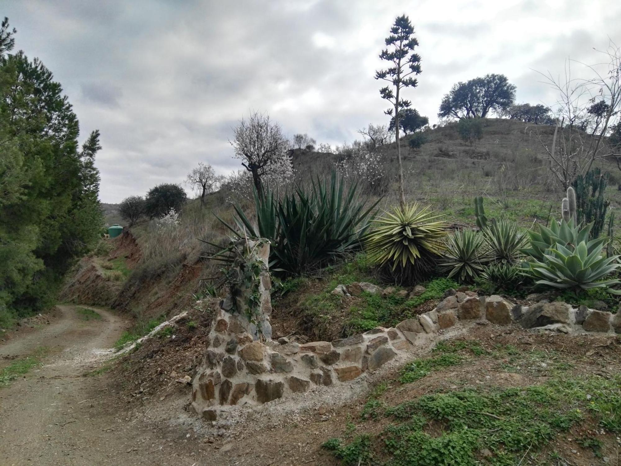 Pinar El Almendra Vakantiehuis *