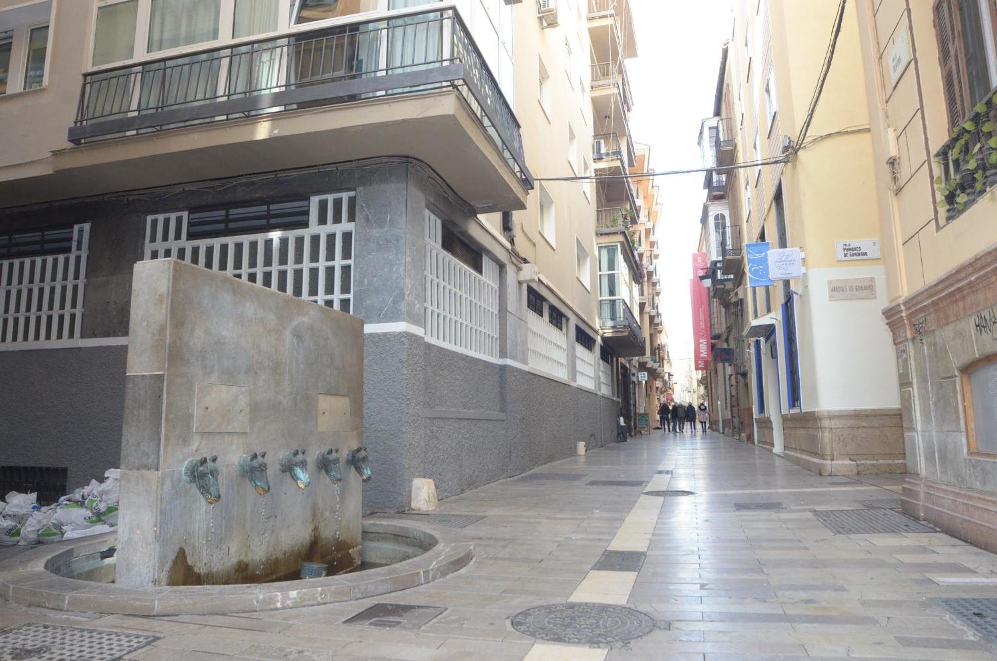Beethoven Luxury Gasthuis Málaga