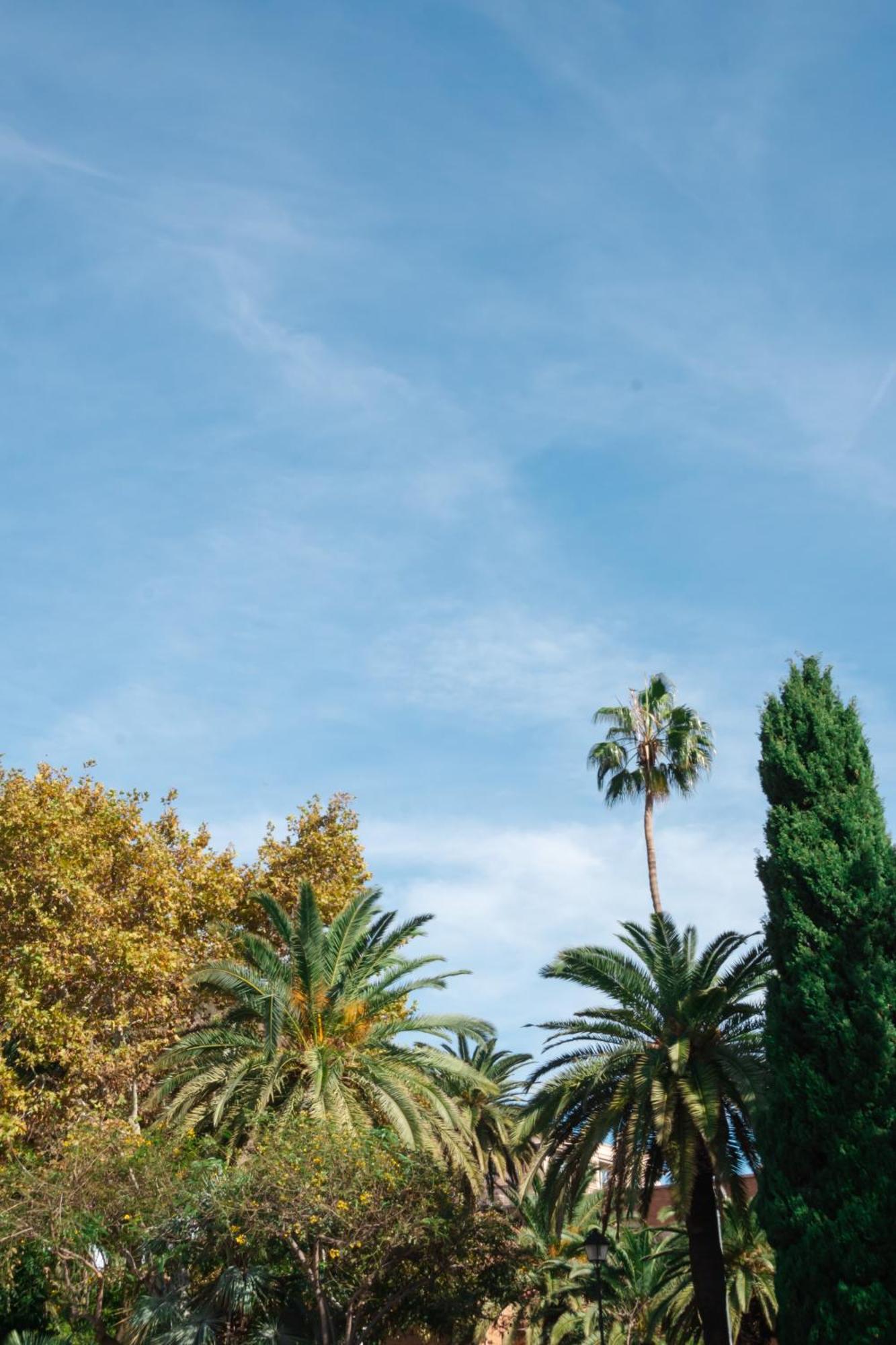 Larios Premium Apartamento Málaga