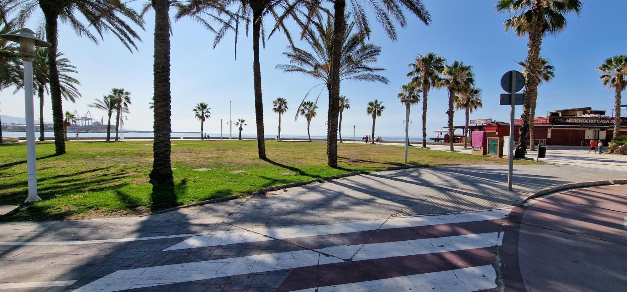 Paloma Malaga