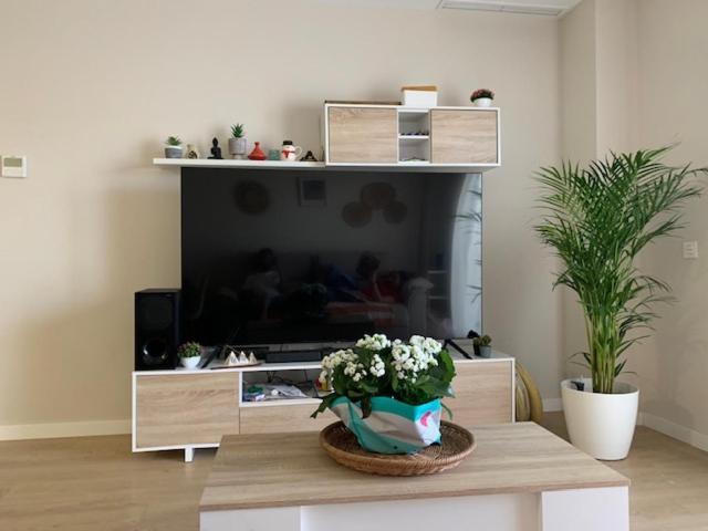 Bajo Con Jardin En Primera Linea De Playa Apartment Malaga