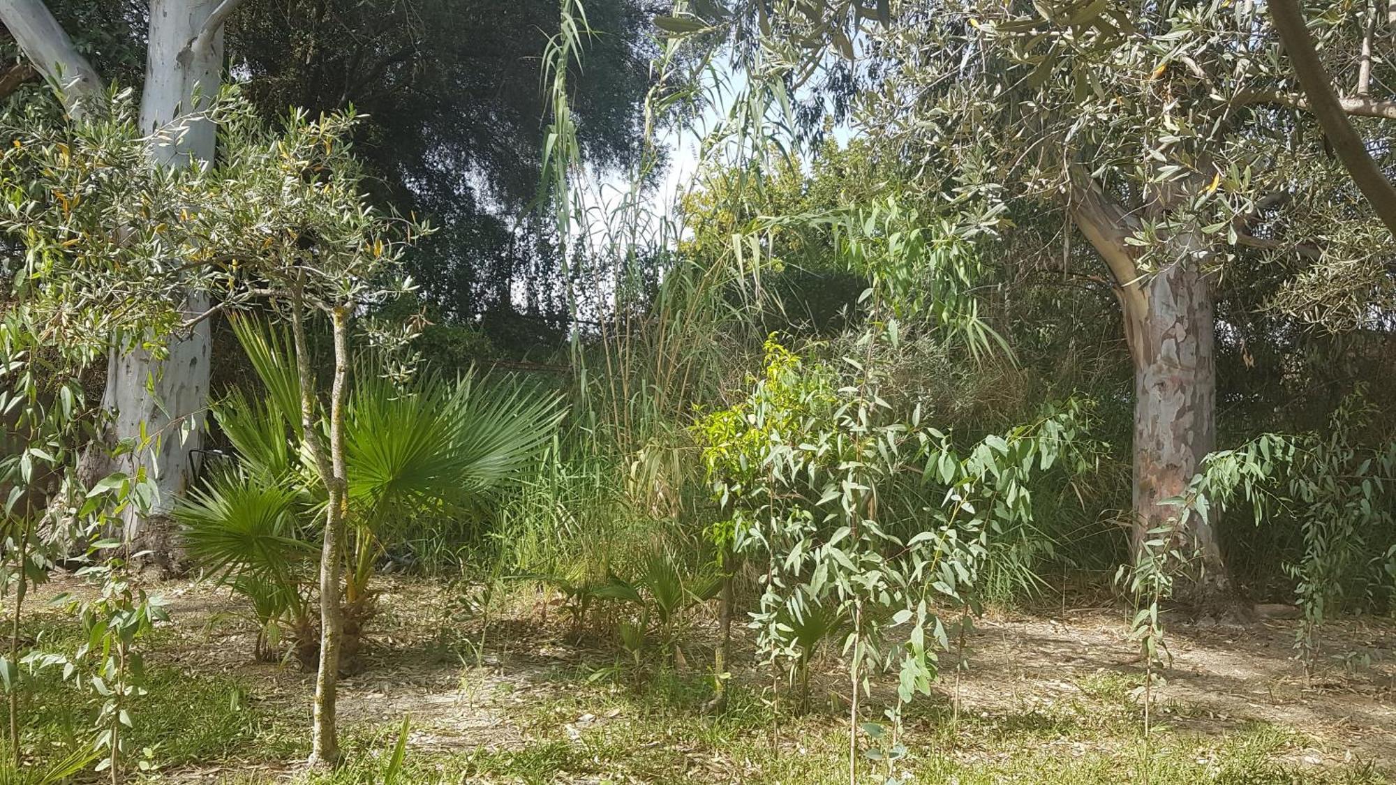 La Ermita Ferienhaus *