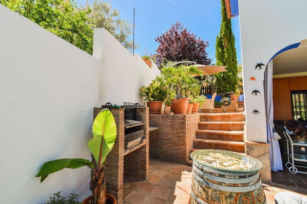Vega's Malaga