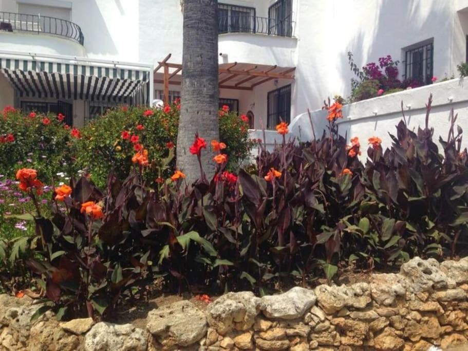 Holiday home Nyrenoverat! Beachfront Townhouse Med Pool Malaga