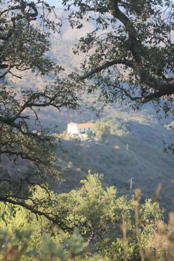 Lagar De Trevenez Montes De Chalet