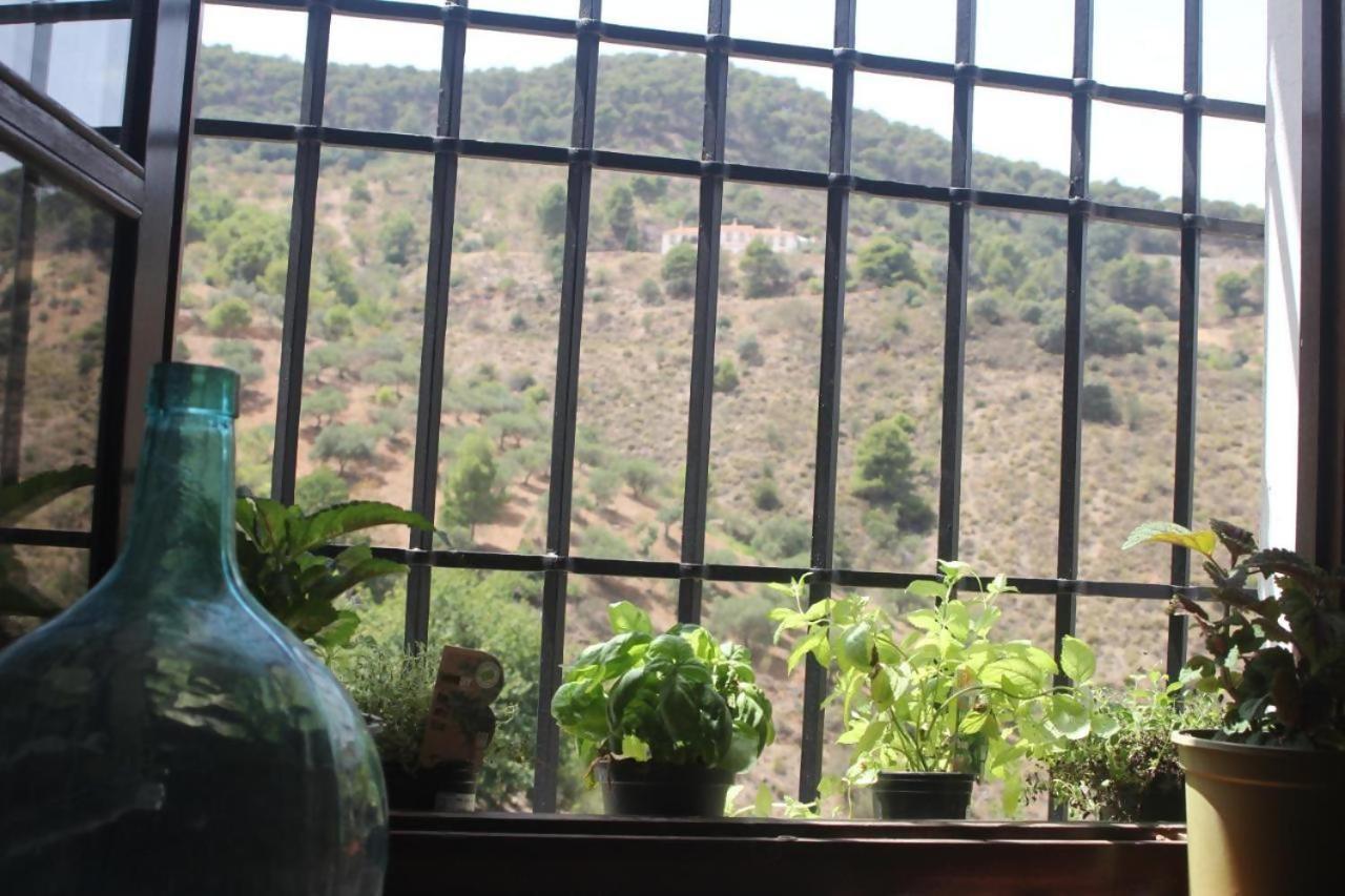 Lagar De Trevenez Montes De *