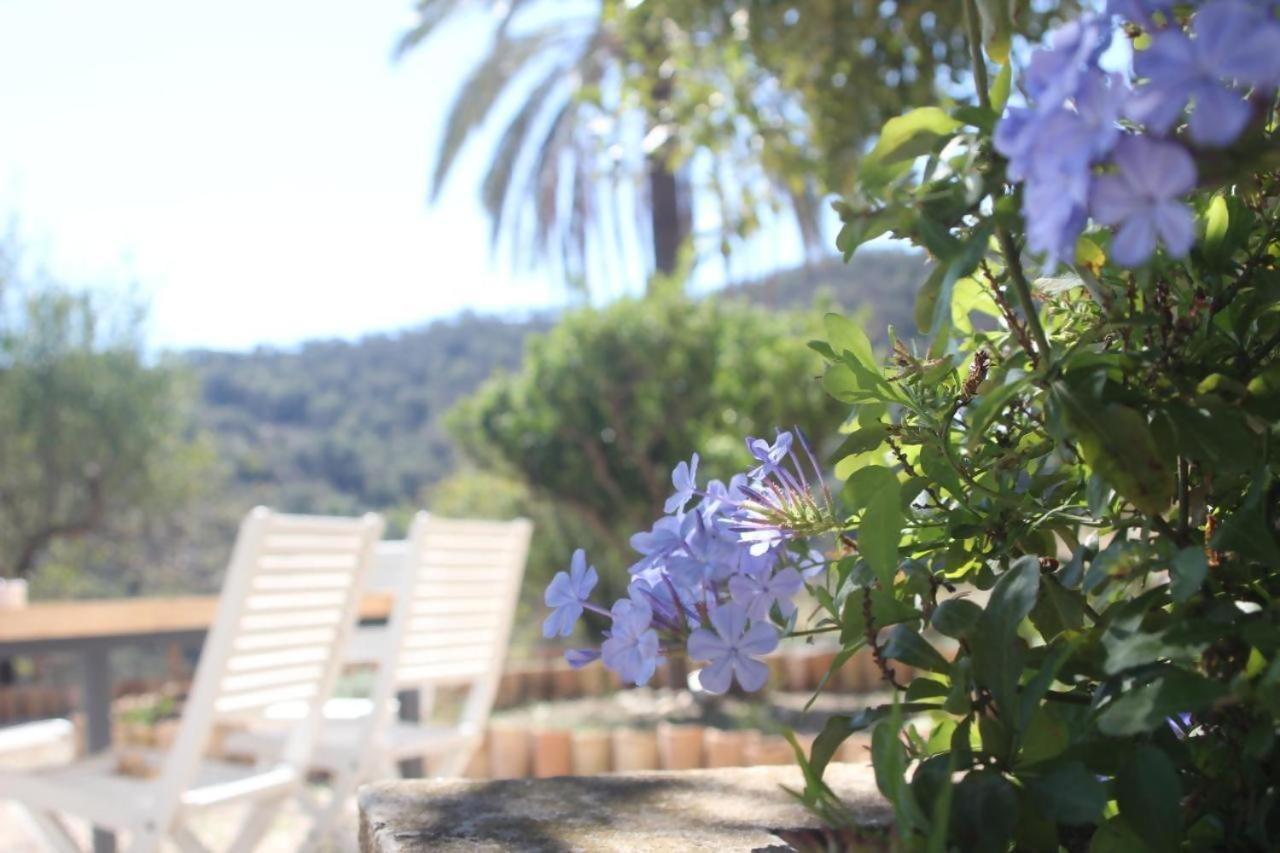 Lagar De Trevenez Montes De Chalet *