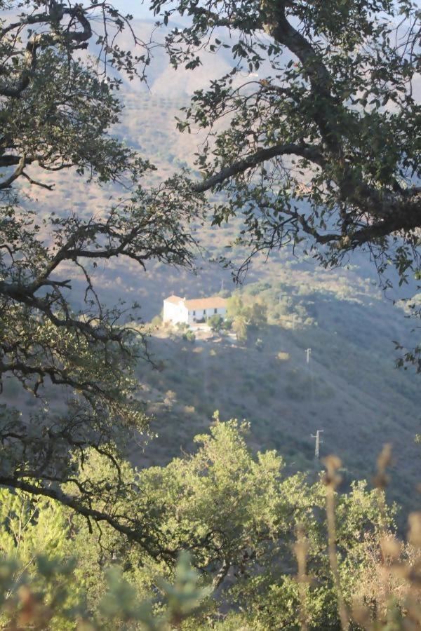 Lagar De Trevenez Montes De Chalet Malaga