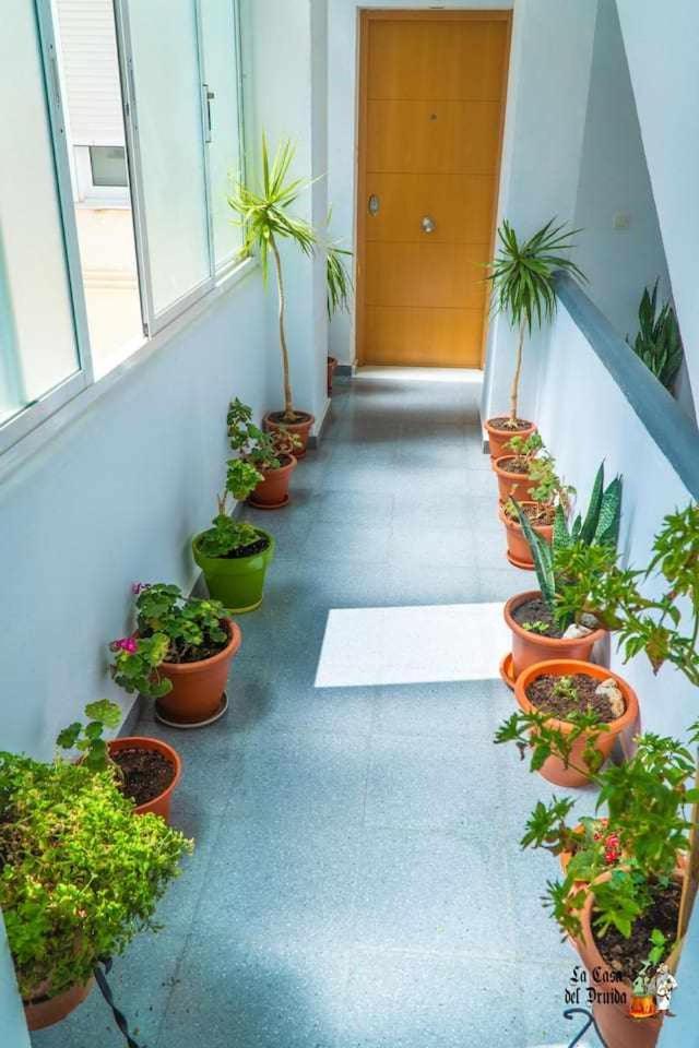 Apartamento La Casa Del Druida