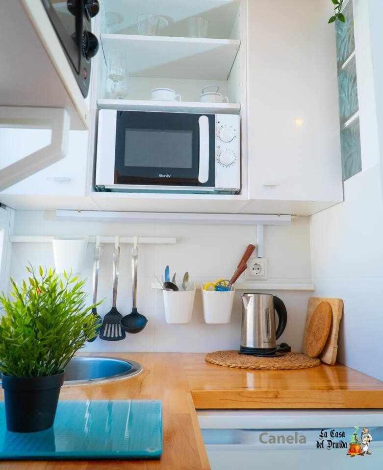 Apartamento La Casa Del Druida Málaga