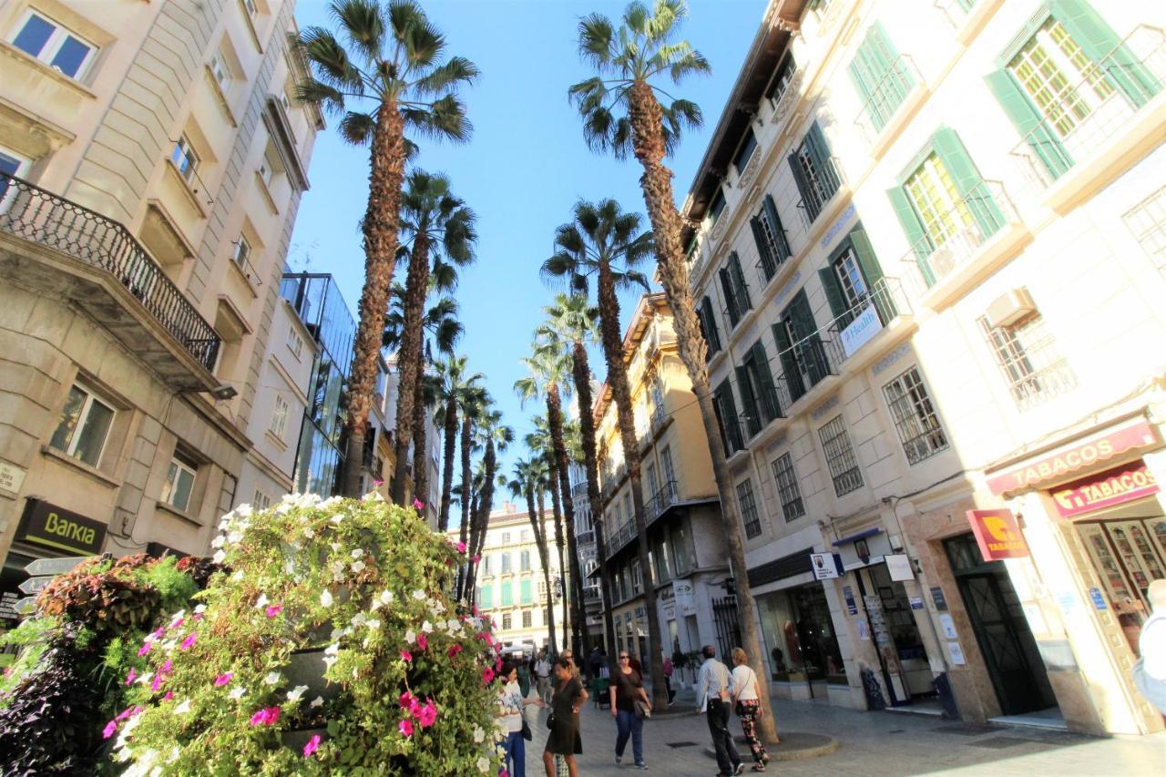 Apartment Homes Atico Larios