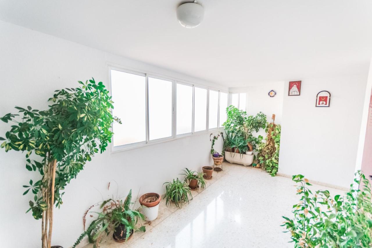 Cubo's Apartamento Origen Del Sur&free Parking Málaga