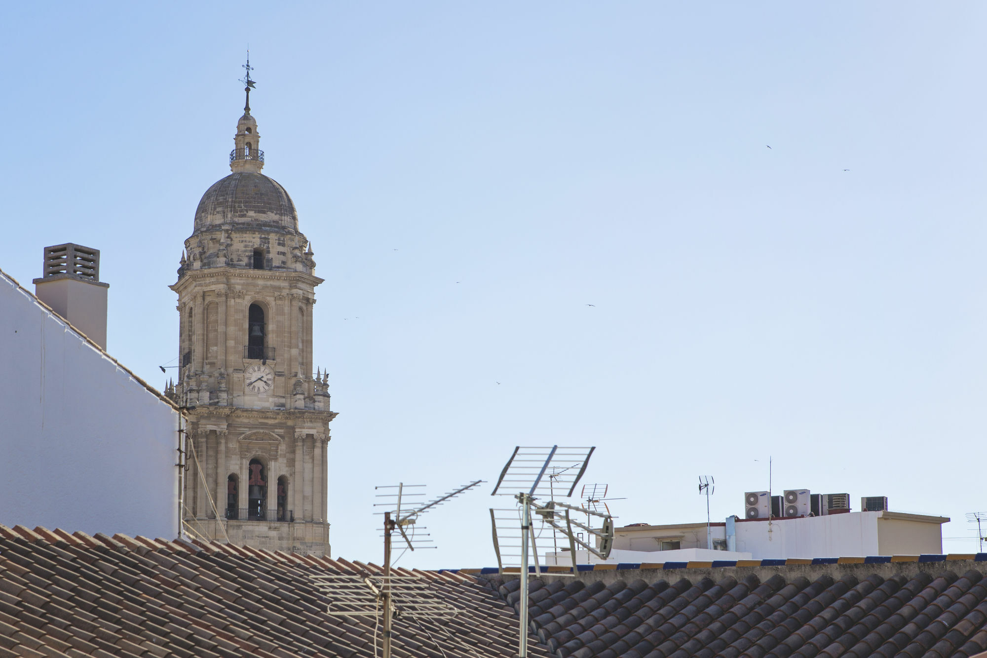 Suncity Flat Guevara Malaga