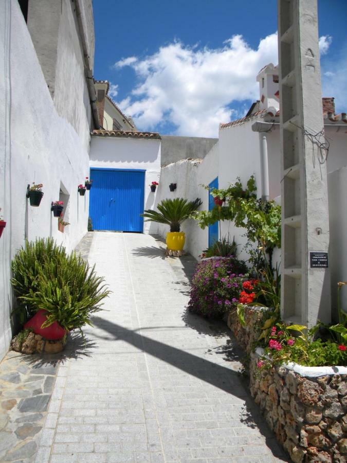 Ferienhaus Moclinejo House