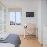C27 Great 3 Bedroom Apt Close To Center
