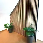 Apartamentos Terrazas De San Juan