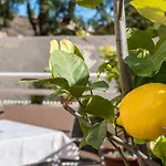 Casa Limonar Malaga