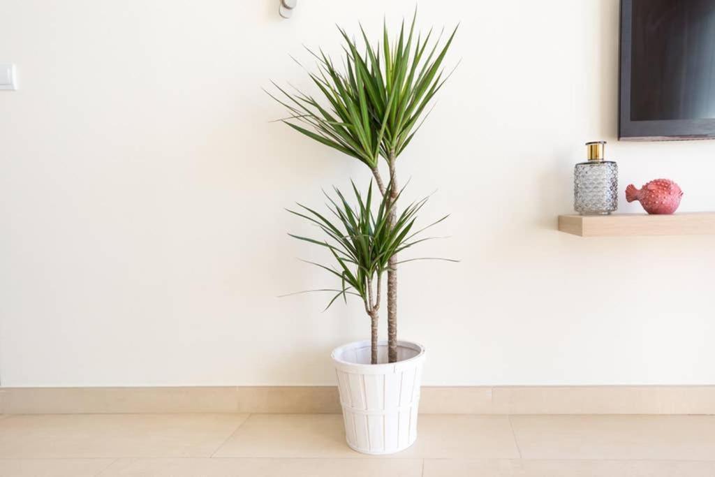 Tgh/ Malagueta Paradise Apartment *