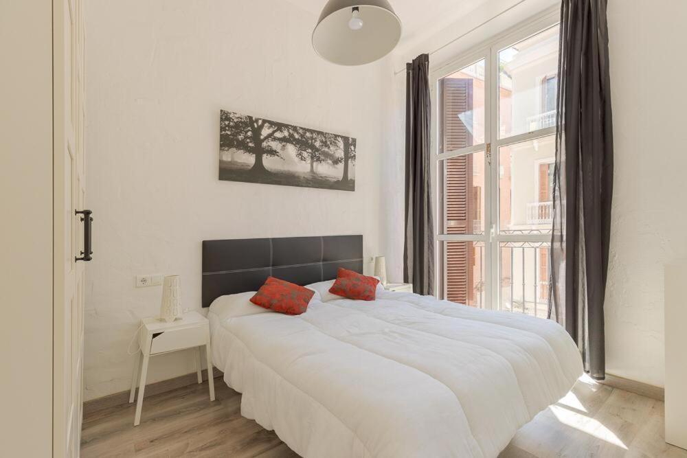 Beautiful Flat With Balcony And Wifi In Center Apartment