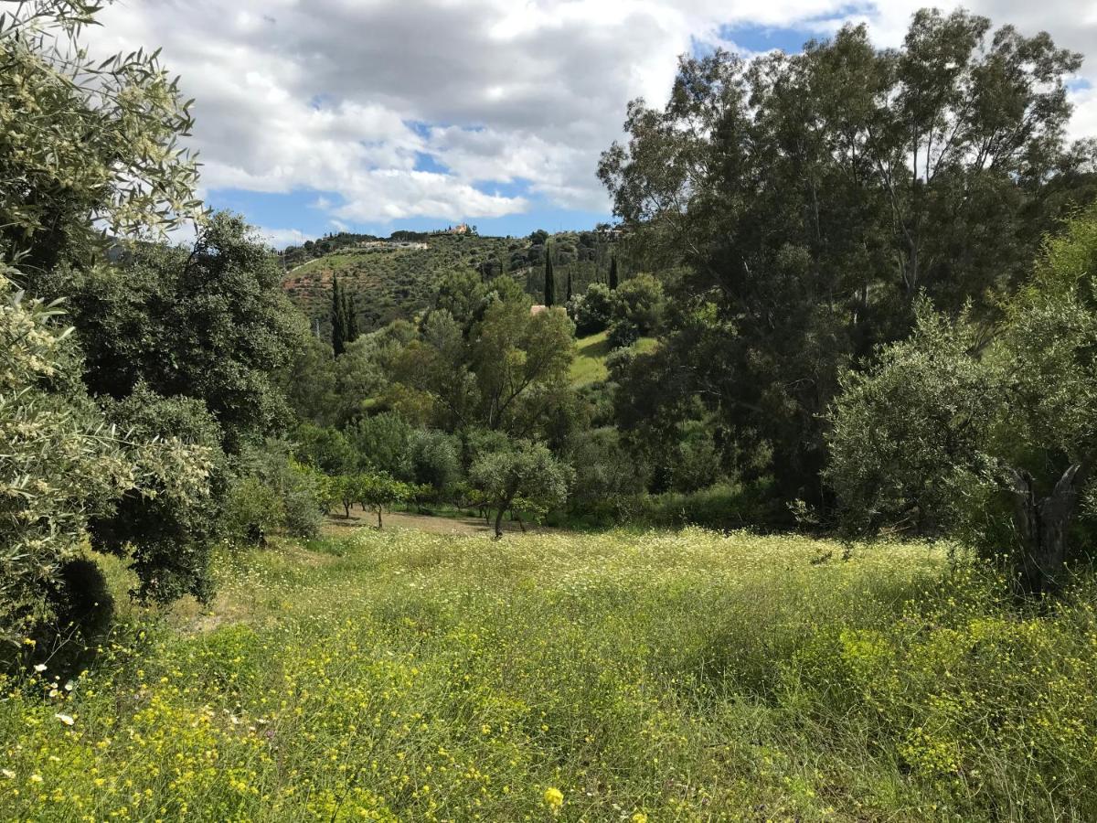 Apartment Views Apartment, Cortijo Fruitful Hills *