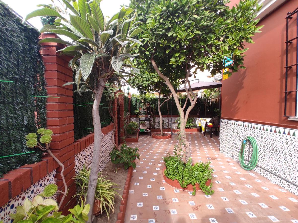 Patricia Homestay *