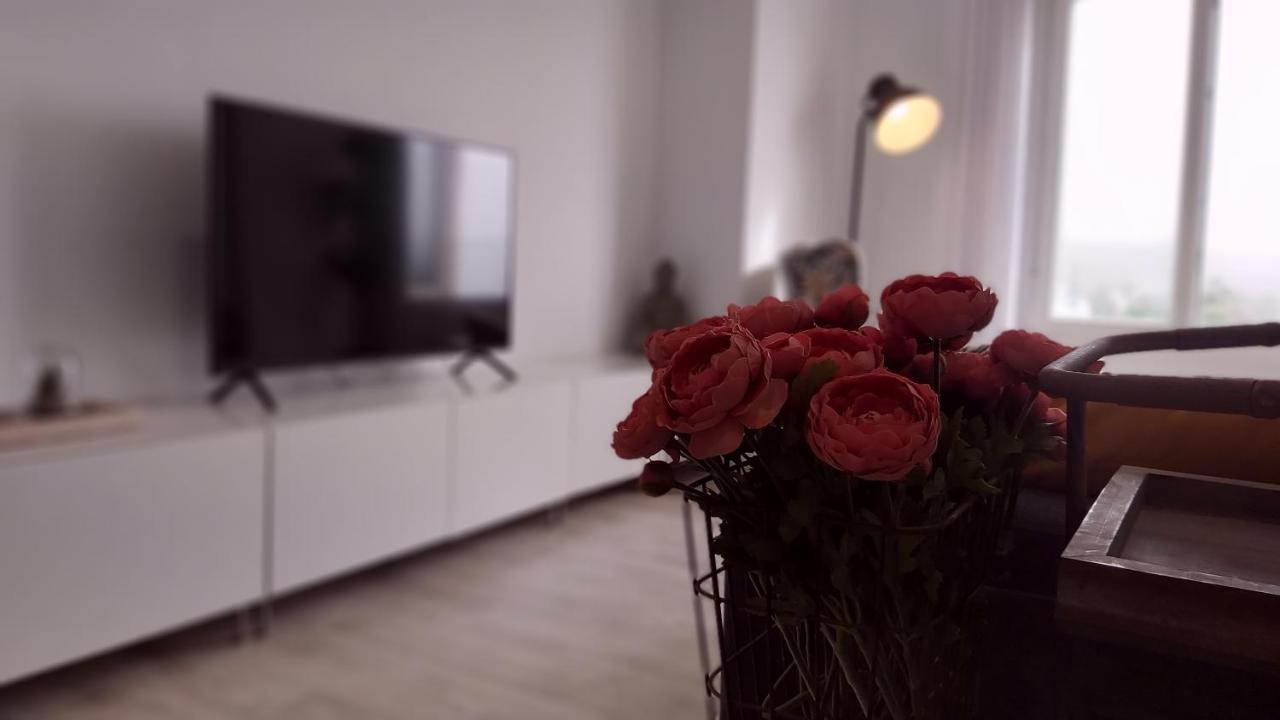 Del Parque Flats Puerto Apartment Malaga