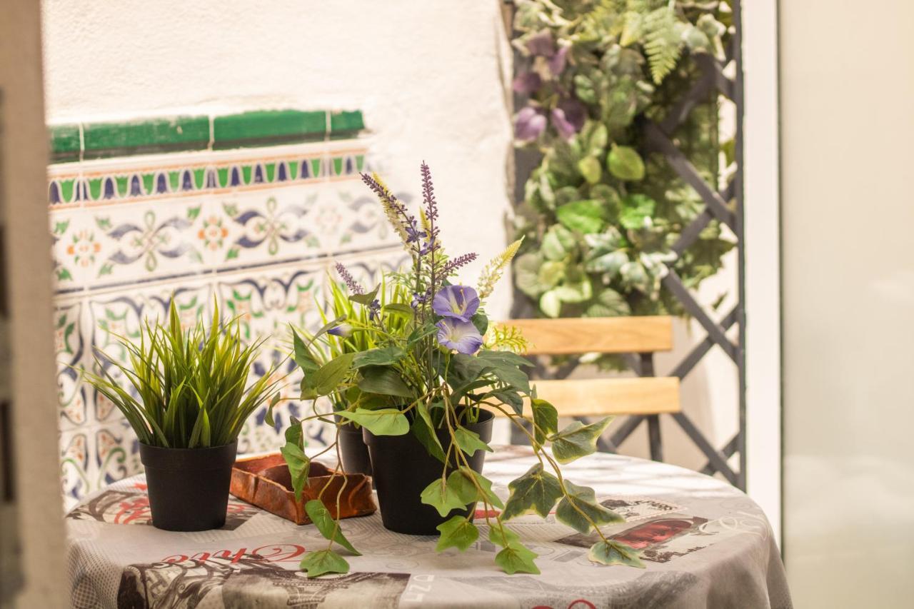 Appartement Malaguena Salerosa 