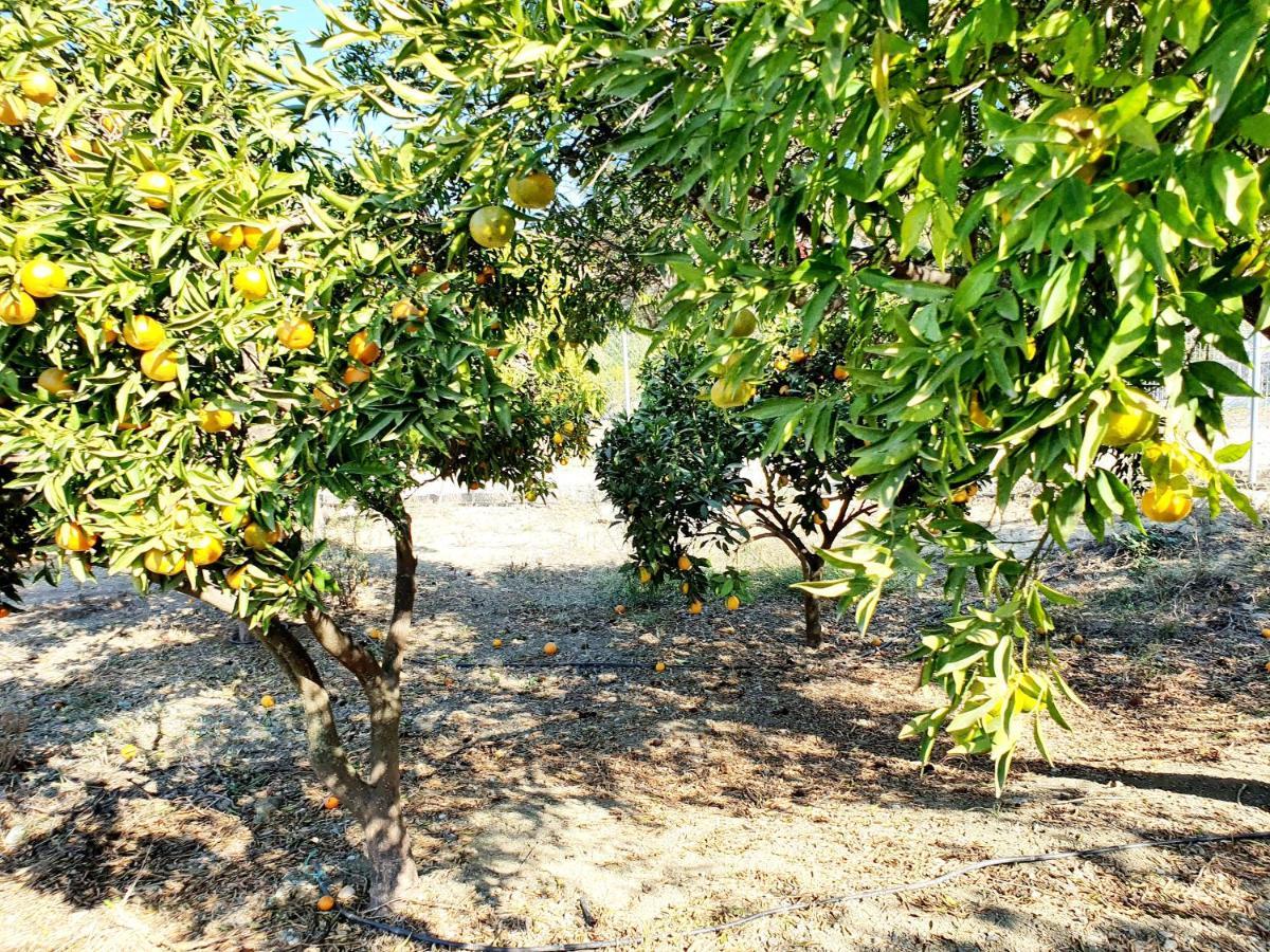 Casa Rural - Serrano House Сasa de vacaciones Málaga