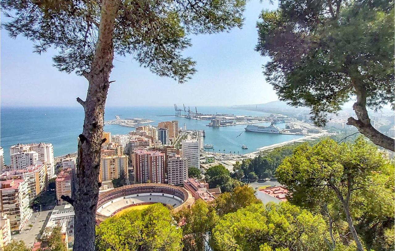 Cozy In With Kitchen Apartment Malaga