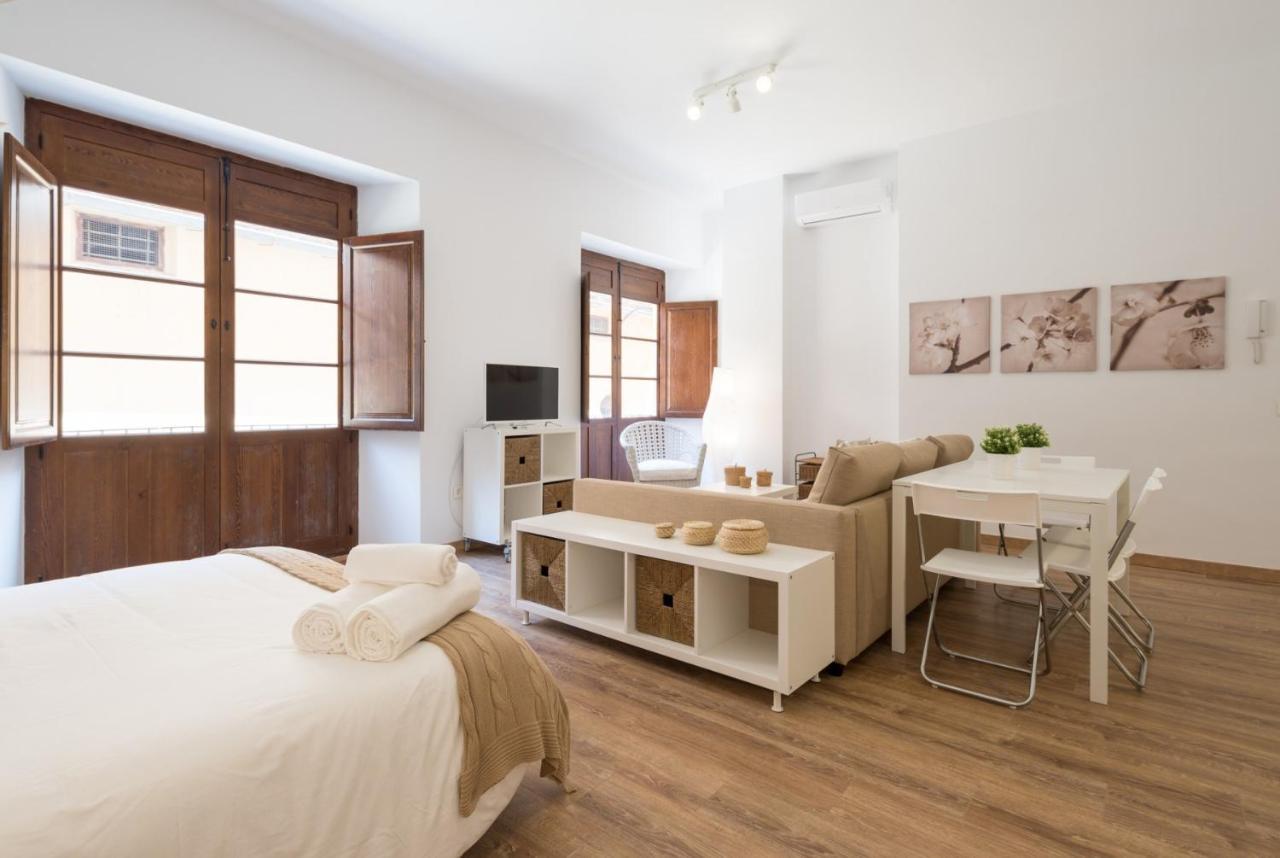 Apartment Santiago Premium Loft I Malaga