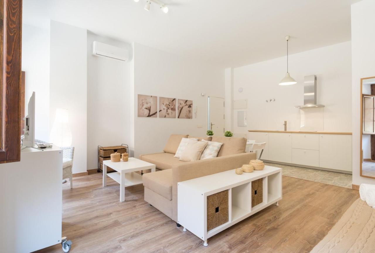 Santiago Premium Loft I Malaga